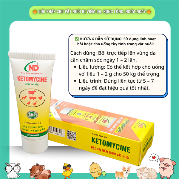 ND Ketomycin (Bôi Nấm) 25gr - Tuýp - Ảnh 5