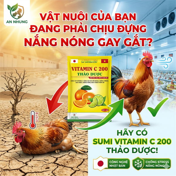 SUMI VITAMIN C 20% 1Kg - Gói 10in1 - Ảnh 5
