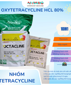 Á CHÂU - OCTACLINE ( Oxytetracylin 80%) - 1kg - Gói 10 in 1