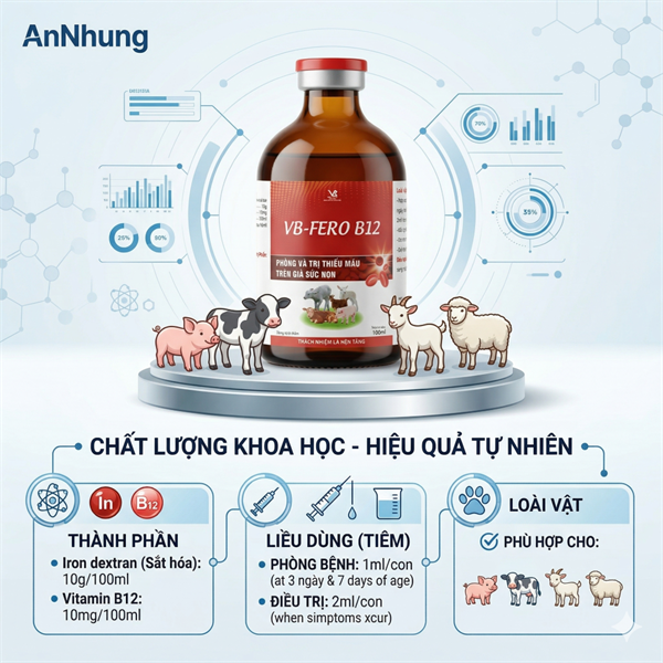 VB FERO B12 100ml - Phòng thiếu máu trên gia súc non - Lọ 100ml - Ảnh 4