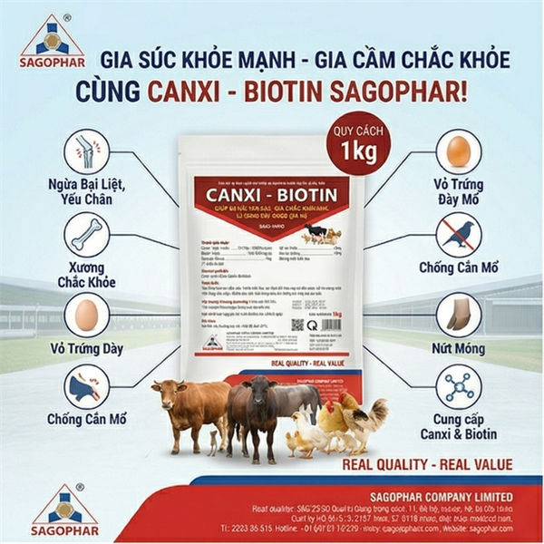 SAGOPHAR CANXI BIOTIN - Gói 1kg