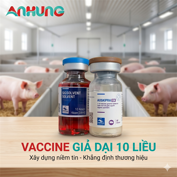 Vaccine Hipra - Auskipra GN - 10 Liều - Lọ
