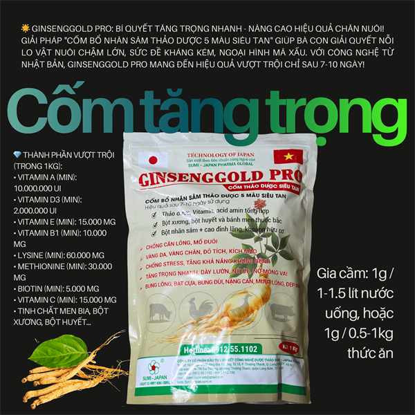 SUMI GINSENG GOLD PRO 1KG - Cốm Nhân Sâm 5 màu tăng trọng - Gói 1kg
