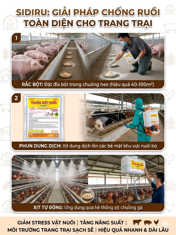 VIAVET SIDIRU - Thuốc diệt ruồi 100gr - Gói - Ảnh 5
