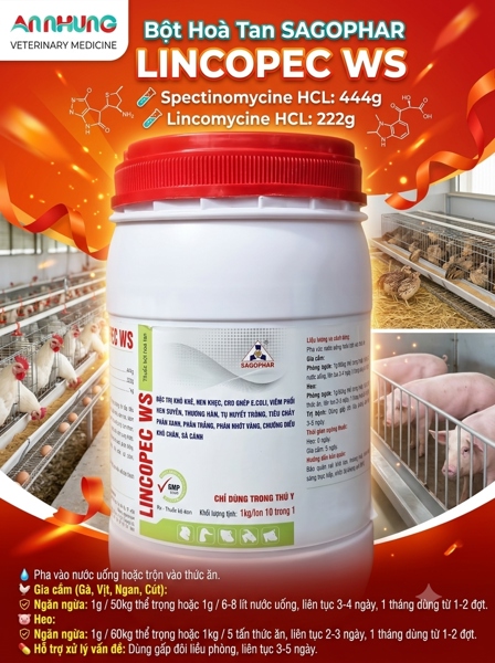 SAGOPHAR LINCOSPEC WS - Hàm Lượng Cao - 1kg - Lon 10in1 - Ảnh 4
