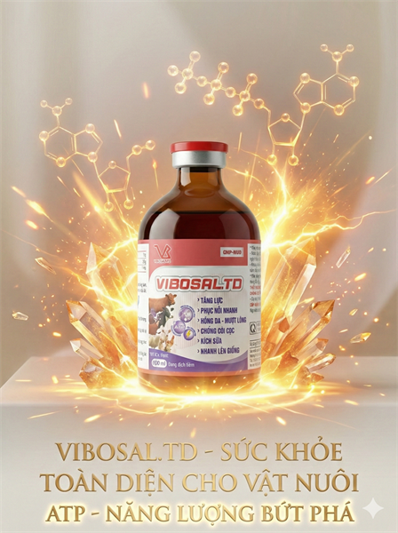 VIBOSAl TD 100ml - Chai 100ml - Ảnh 3