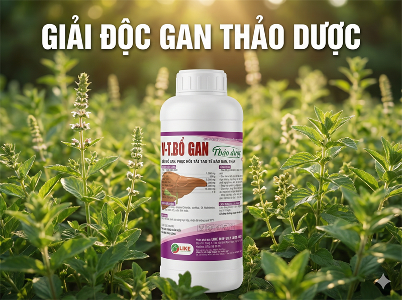 Like VT. BOGAN 1 lít - Chai