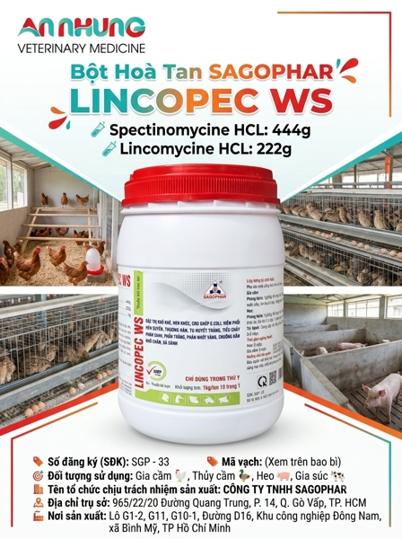 SAGOPHAR LINCOSPEC WS - Hàm Lượng Cao - 1kg - Lon 10in1 - Ảnh 3