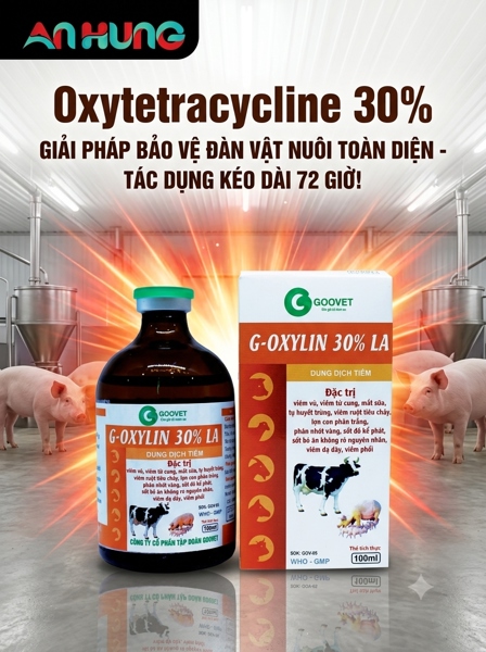 Goovet G - OXYLIN 30% LA 100ml - Chai 100ml