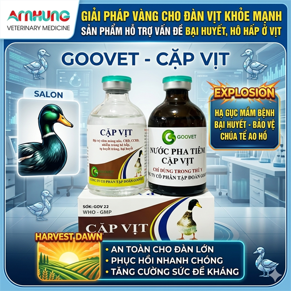Goovet Cặp vịt 5g - hộp - Ảnh 5