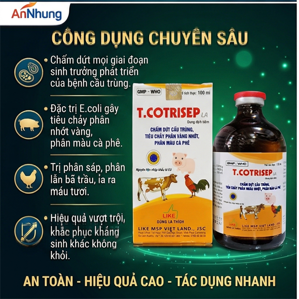 LIKE T. COTRISEP LA ( SulfaTrime) - Chai 100 ml - Ảnh 4