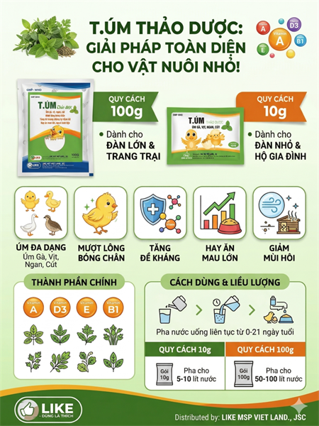 LIKE T.ÚM GIA CẦM THẢO DƯỢC - Gói 100gr - Ảnh 2