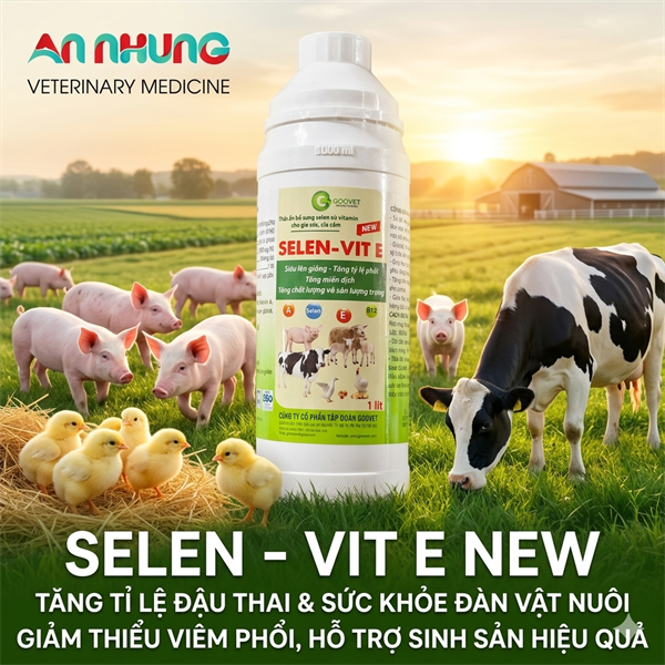 GOOVET SELEN VIT E 1 lít - chai - Ảnh 5