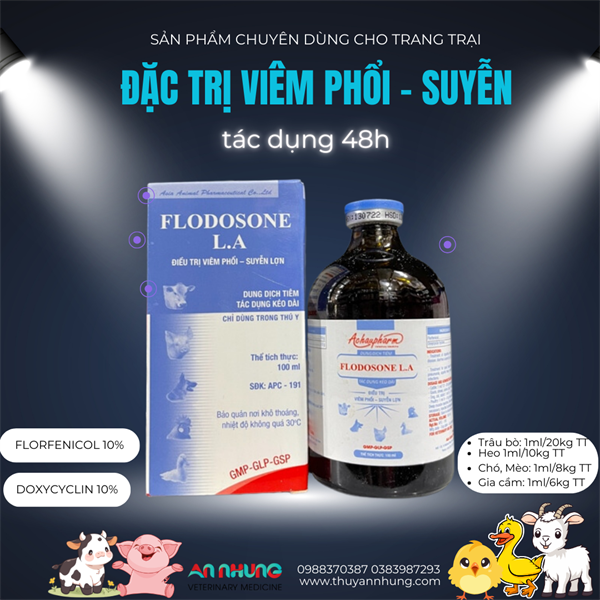 Á CHÂU FLODOSONE - 48h - chai