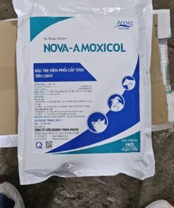 Alternative view of Anova Amoxicol - Gói