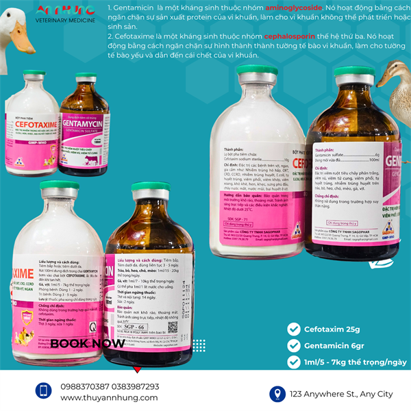 SAGOPHAR - CEFOTAXIM + GENTAMYCIN - Cặp tiêm Vịt Gà - Cặp 250ml - Ảnh 2