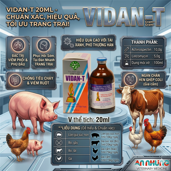 NThái VIDAN-T (Lincomycin) - 100ml chai - Ảnh 5