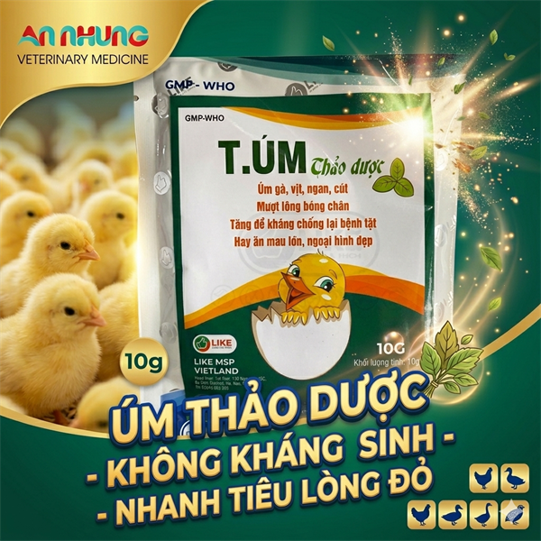 LIKE T.ÚM GIA CẦM THẢO DƯỢC - Gói 100gr - Ảnh 5