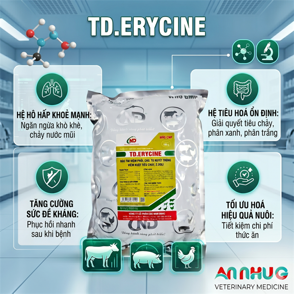 ND ERYCINE 100gr - CRD, Phổi, Tụ Huyết Trùng, Ecoli - gói - Ảnh 5