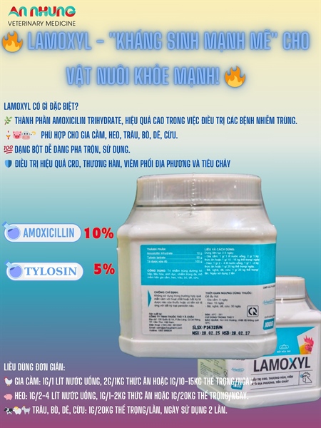 Á Châu Lamoxyl 100gr/Hũ - Amox Tylo hàm lượng cao - Lon 100g - Ảnh 2