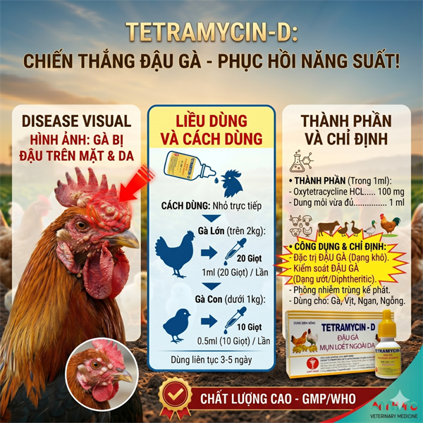 Minh Huy Teramycin (Đậu Gà) 10ml - Hộp 10 lọ - Ảnh 3