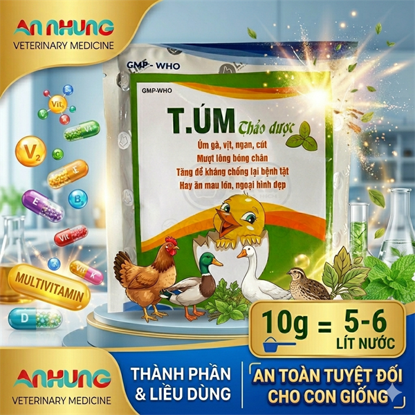 LIKE T.ÚM GIA CẦM THẢO DƯỢC - Gói 100gr - Ảnh 3