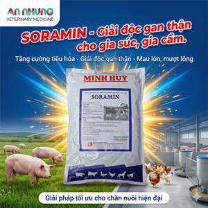MINH HUY SORAMIN - 1 KG - gói 1 kg