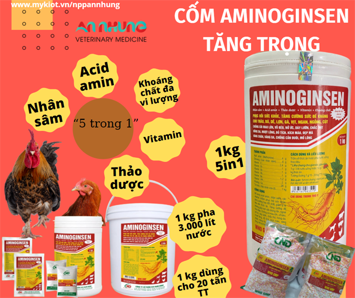 ND Cốm Nhân Sâm AMINOGINSEN (1Kg) - Hỗ Trợ Vỗ Béo, Nở Ức, Dày Lườn, Đẹp Mã Cho Gia Súc Gia Cầm - Lon 5in1 - Ảnh 2