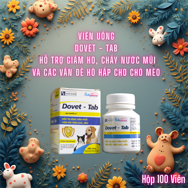 Á CHÂU DOVET TAB (viên) - Hộp 100 viên