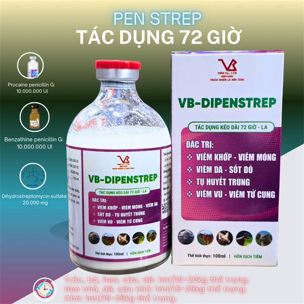 Vibo - Pen Strep (Di penstrep) Inj - TÍm - Chai 20ml - Ảnh 3