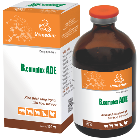 VMD ADE BCOMPLEX 100ml - Lọ - Ảnh 4
