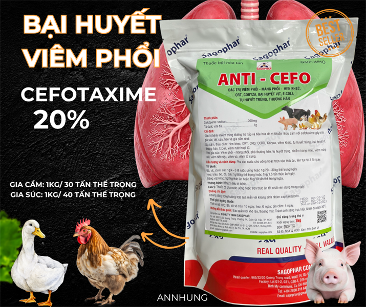 SAGOPHAR ANTI CEFO - Cefotaxime 20% - 1kg - Gói 10in1