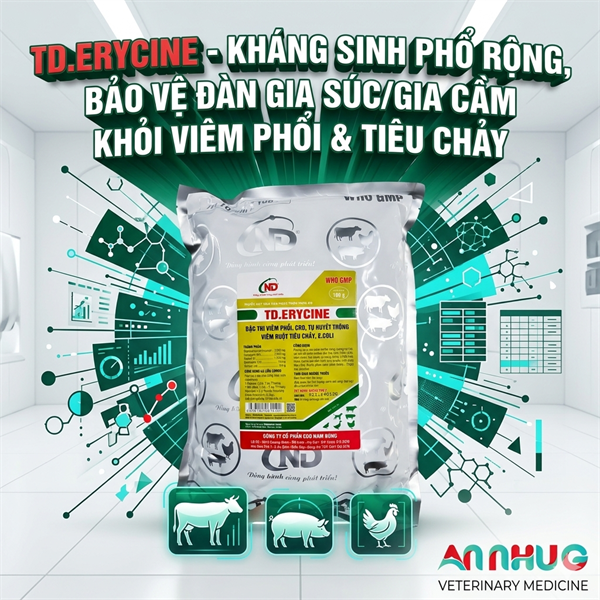 ND ERYCINE 100gr - CRD, Phổi, Tụ Huyết Trùng, Ecoli - gói