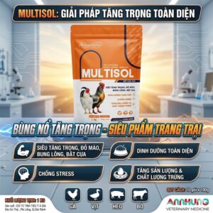 Alternative view of Á CHÂU MULTISOL 1kg - Thuốc Bổ Cao Cấp - Gói 10in1
