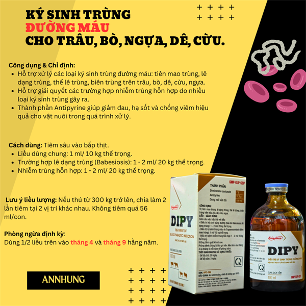 Á CHÂU DIPY - Ký sinh trùng đường máu, Sán Lá Gan 100ml - Lọ - Ảnh 5