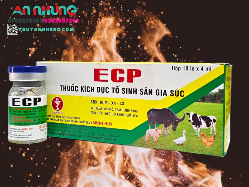 Minh Huy ECP (Estradiol) 4ml - Hộp 10 lọ