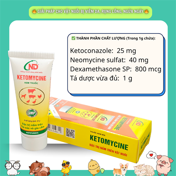 ND Ketomycin (Bôi Nấm) 25gr - Tuýp - Ảnh 4