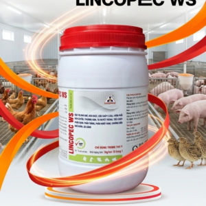 SAGOPHAR LINCOSPEC WS - Hàm Lượng Cao - 1kg - Lon 10in1