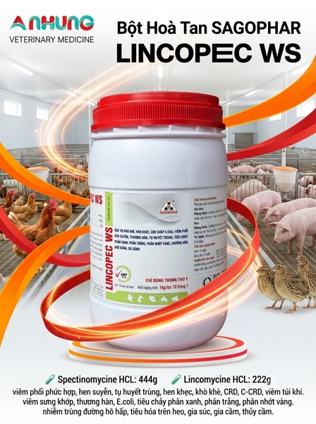 SAGOPHAR LINCOSPEC WS - Hàm Lượng Cao - 1kg - Lon 10in1