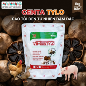 VB - GENTA TYLO 1kg - Cao tỏi đen, đông trùng hạ thảo - Gói (10in1)