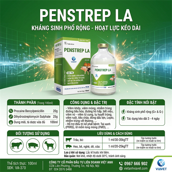 VIAVET - PEN STREP LA - 100ml (XANH) - Chai 100ml