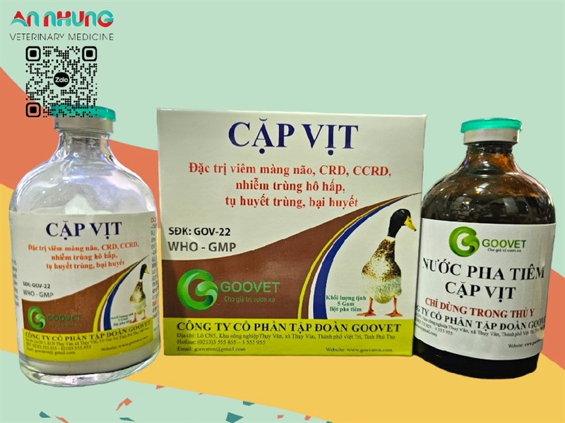 Goovet Cặp vịt 5g - hộp - Ảnh 3