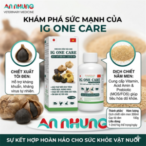 SUMI IG ONE CARE kháng thể 100ml - Chiết xuất nấm men & tỏi đen - Chai 100ml