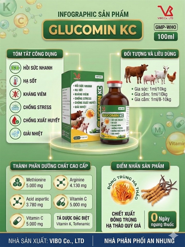 VB Gluco kc (Đông Trùng Thảo Dược) - Lọ - Ảnh 5