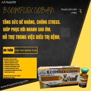 Goovet Bcomplex Coban 10ml - - Hộp 10 lọ