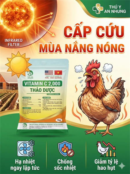 SUMI VITAMIN C 20% 1Kg - Gói 10in1