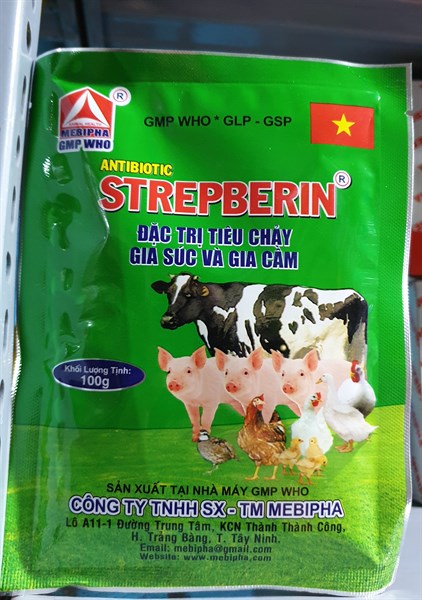 Mebipha Strep Berin - Gói 100gr - Ảnh 2