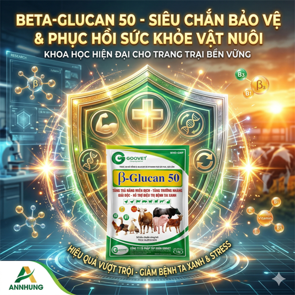 GOOVET B GLUCAN 50% 1KG - Gói 5in1 - Ảnh 5