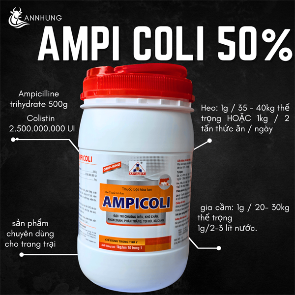 SAGOPHAR AMPICOLI (nhãn vàng) 1 Kg - Ampi 50% - Lon 10in1 - Ảnh 2