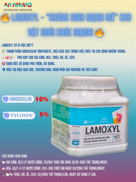 Á Châu Lamoxyl 100gr/Hũ - Amox Tylo hàm lượng cao - Lon 100g
